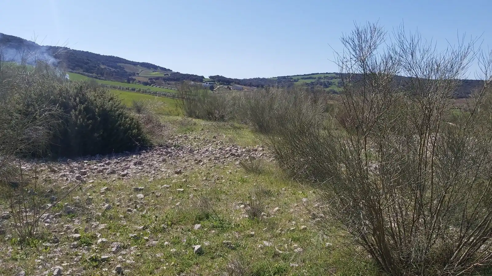 Terrains et parcelles à vendre à Setenil de las Bodegas, imagen 5