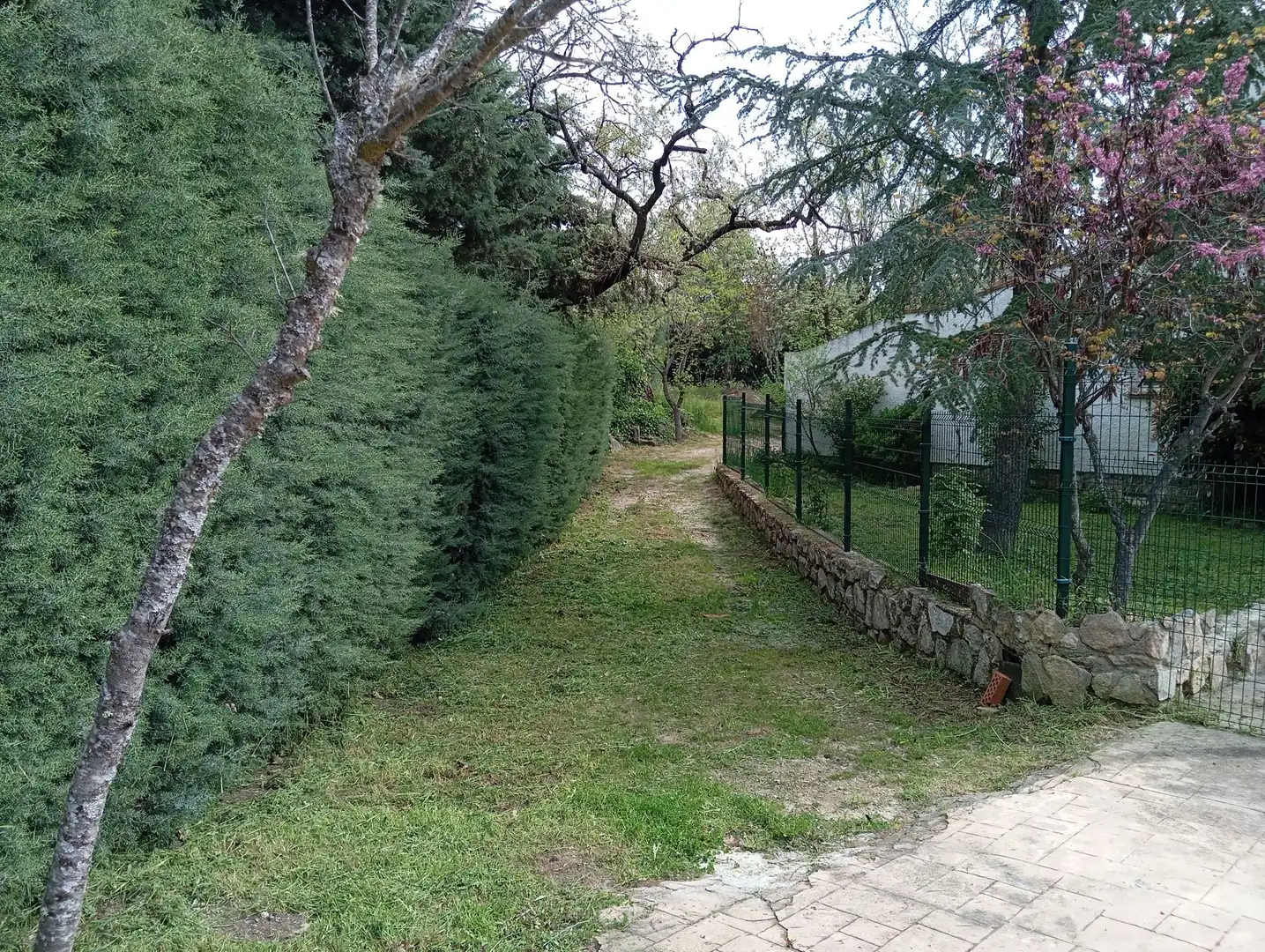 Houses for sale in Valdemorillo