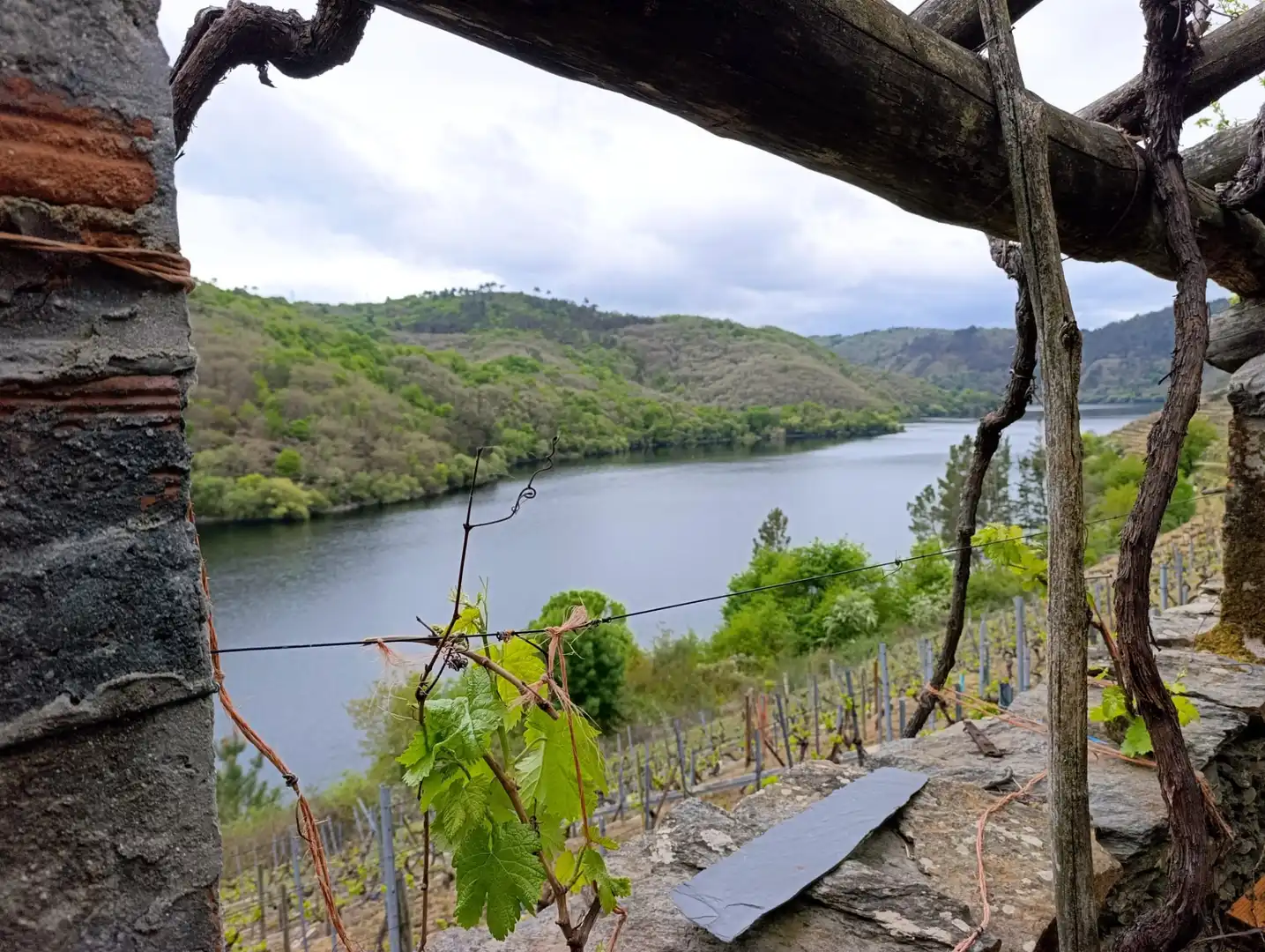 Casa rústica amb jardí en venda a O Saviñao, imagen 15