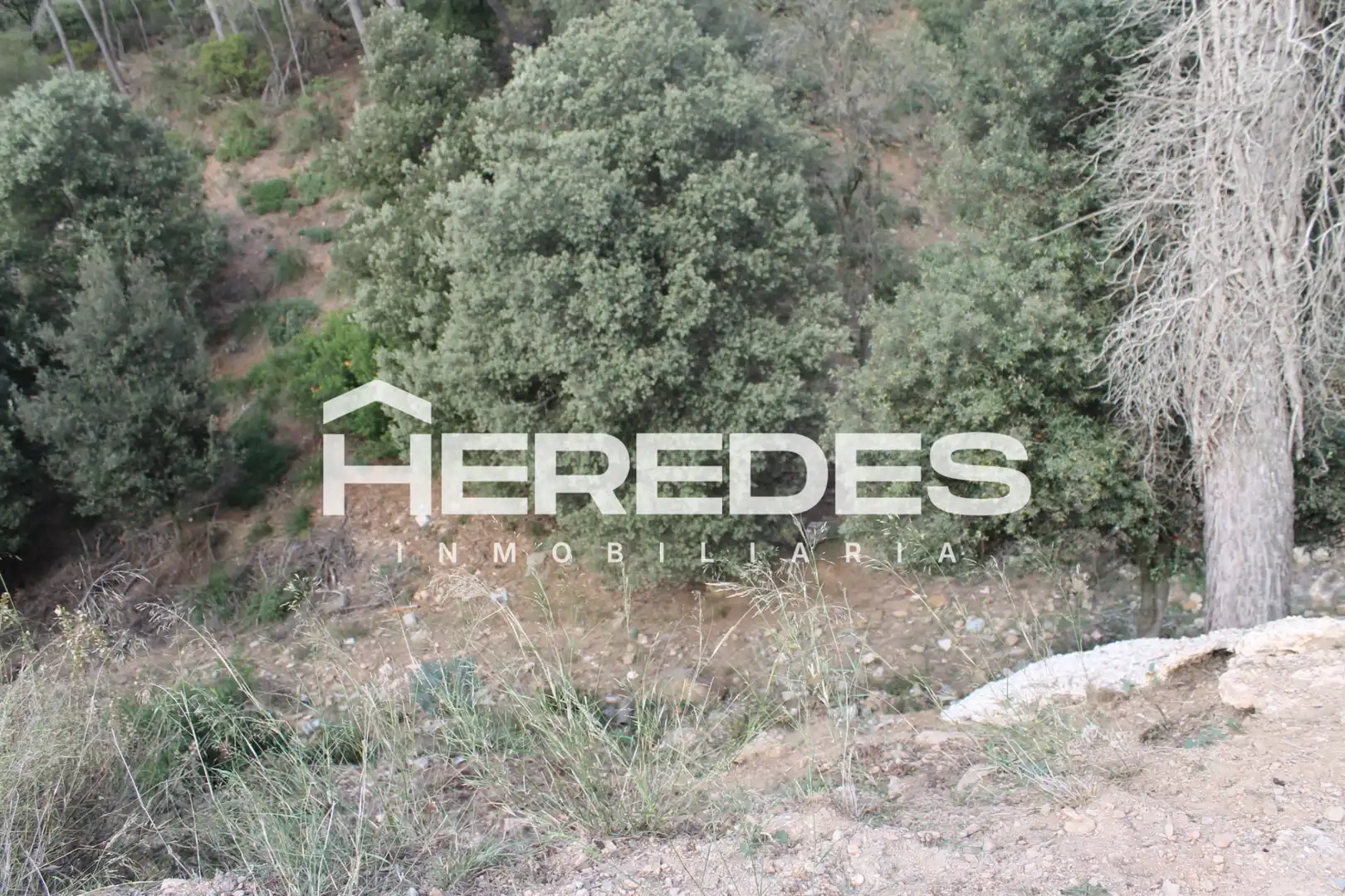 Terreno residencial en venta en Carrer Del Mas Gelat 37, imagen 11