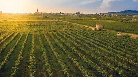 ¡Espectacular Finca Rústica de 634 Hectáreas en Tarancón¡, immagine 5