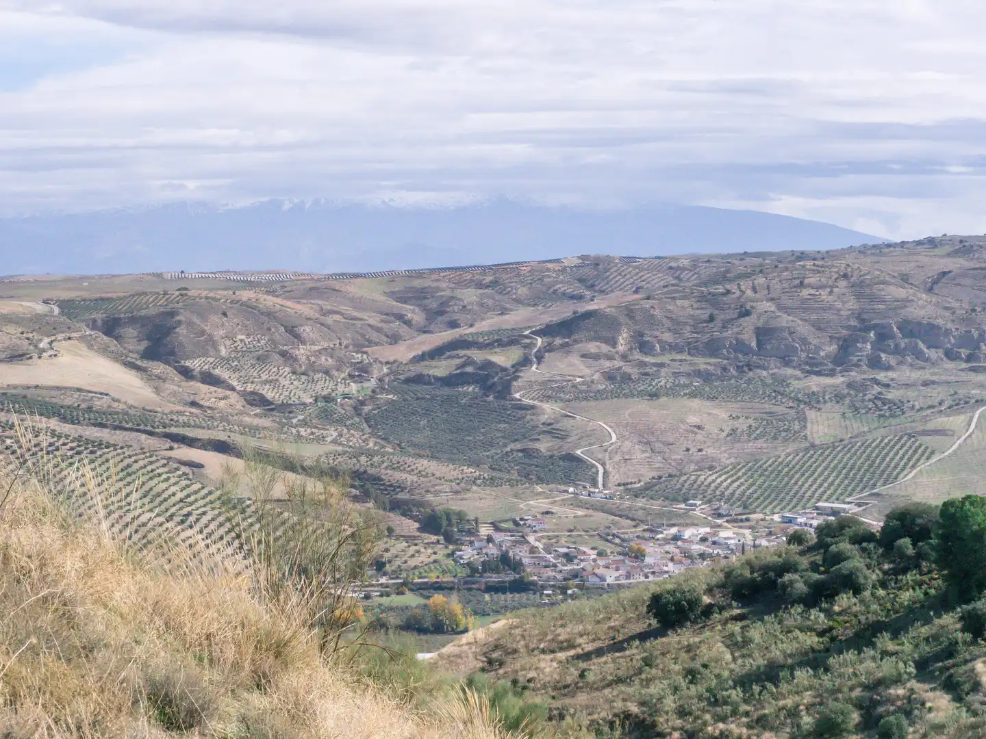 Außenansicht von Grundstücke zum Verkauf in Alhama de Granada