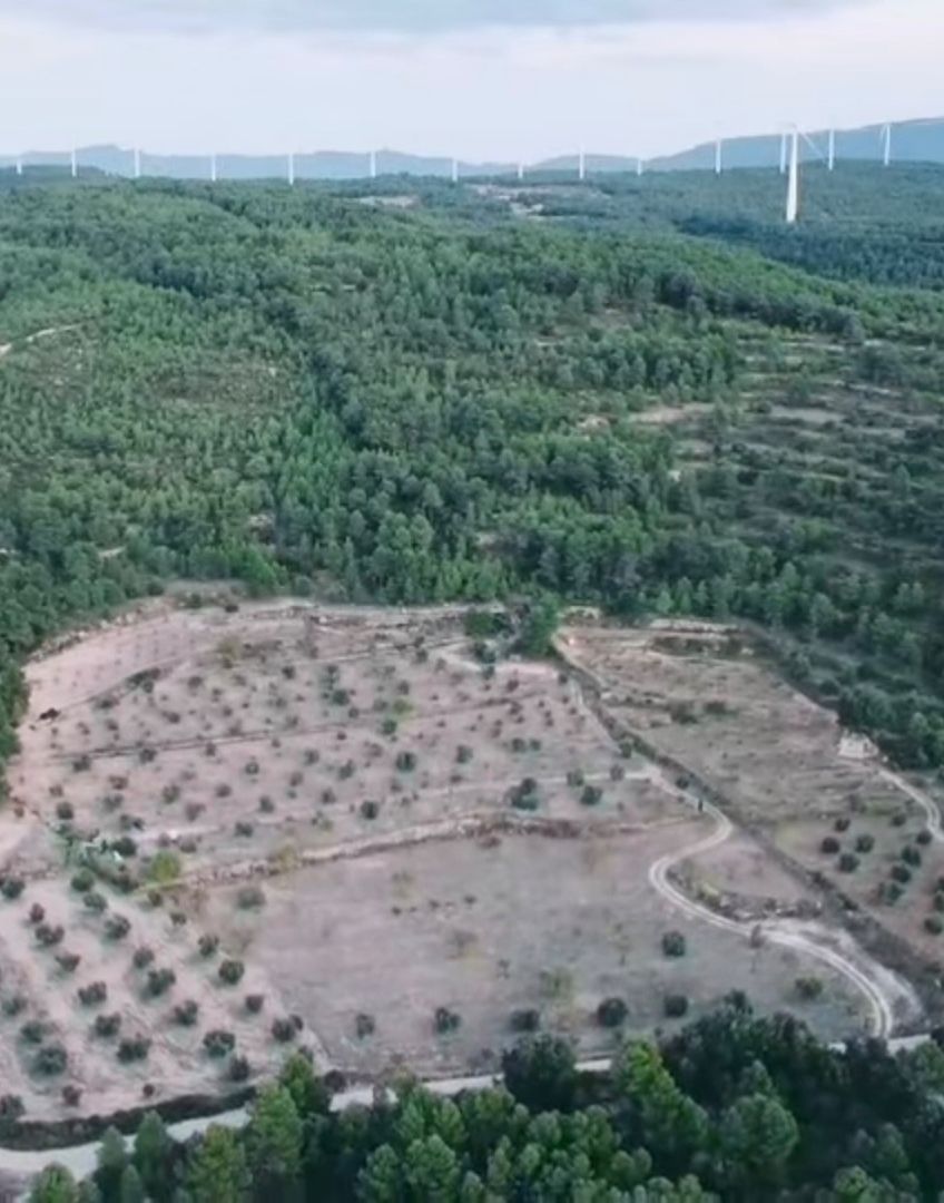 Land for sale in Fulleda