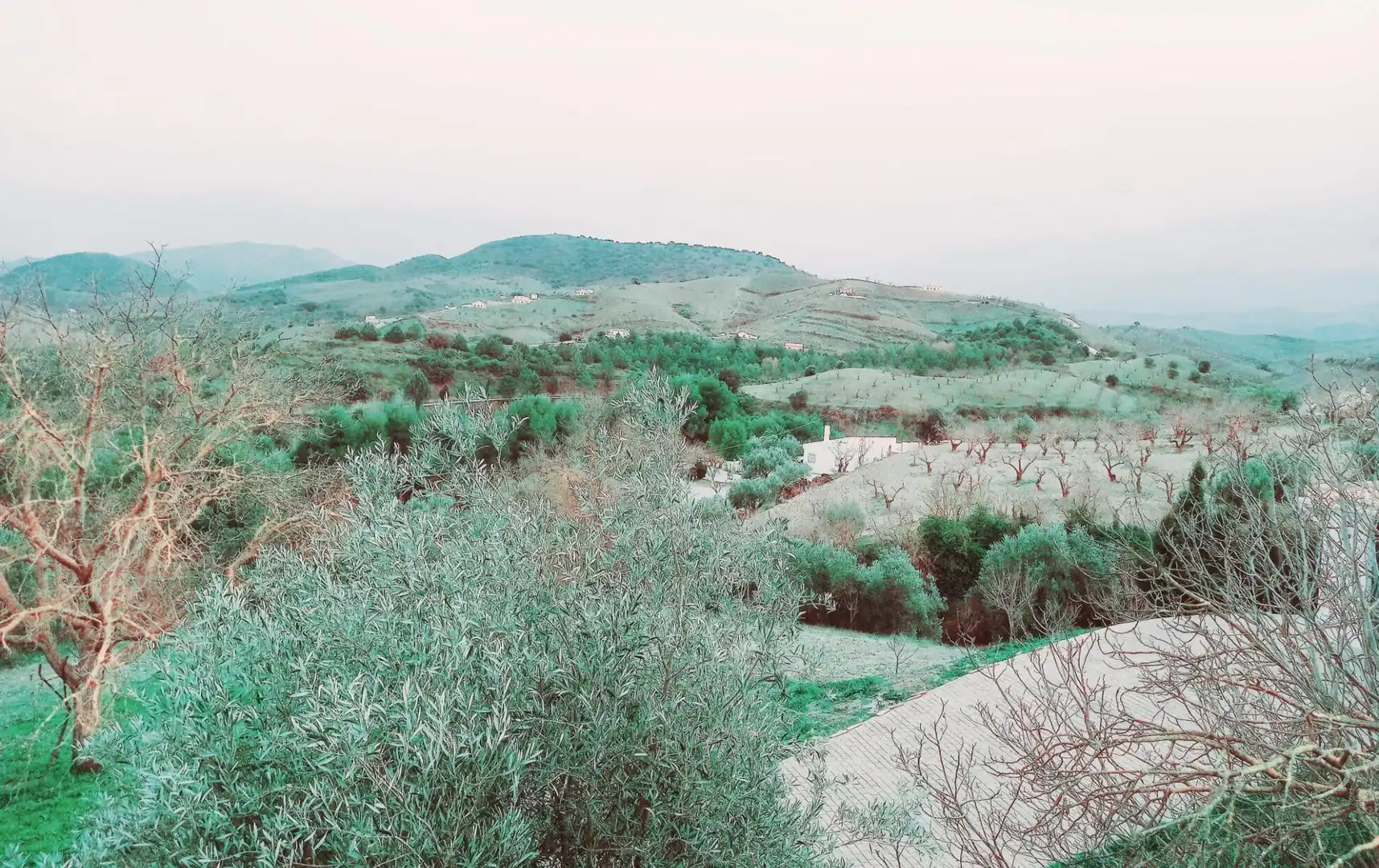 Terreni e lotti in vendita a Alhama de Granada, imagen 12