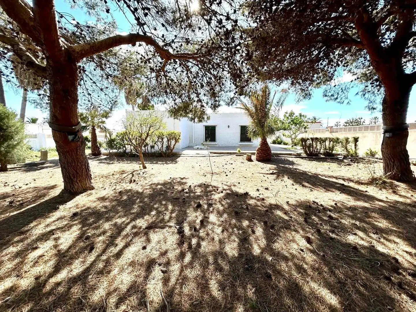 Vista exterior de Casa o chalet en venta en Almería con Jardín privado y Terraza