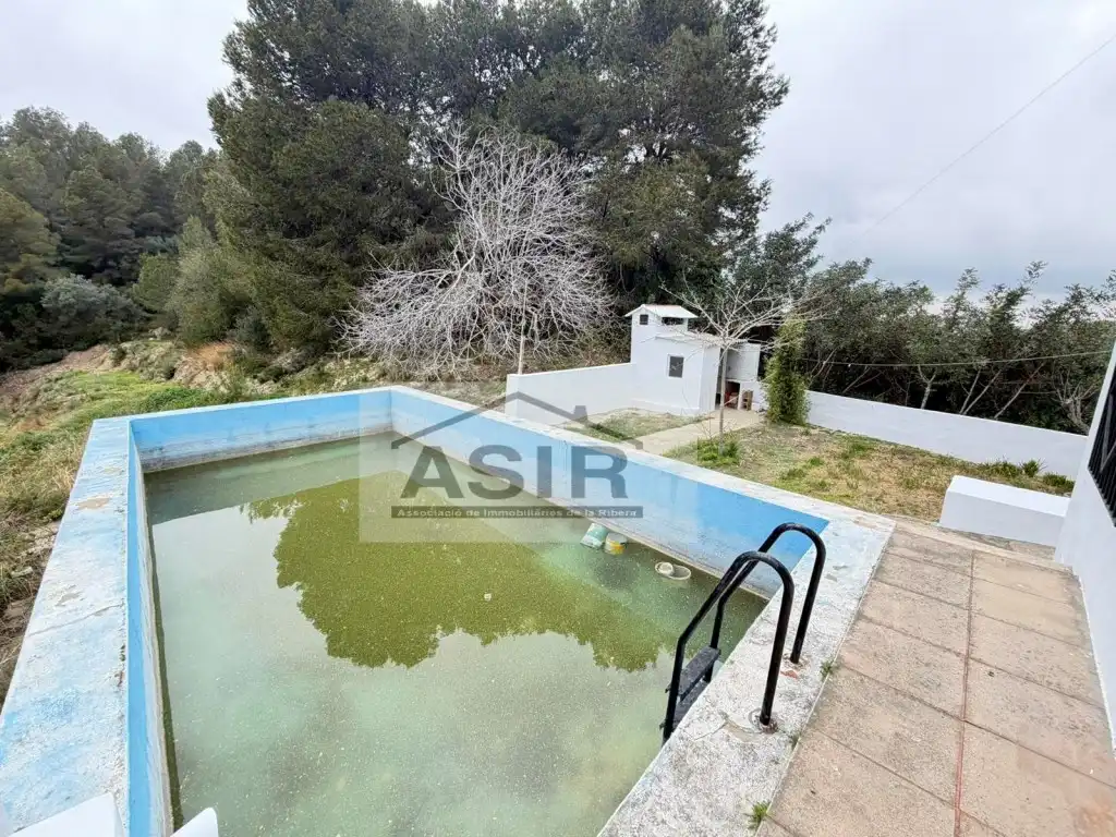 Swimming pool of Houses for sale in Alzira