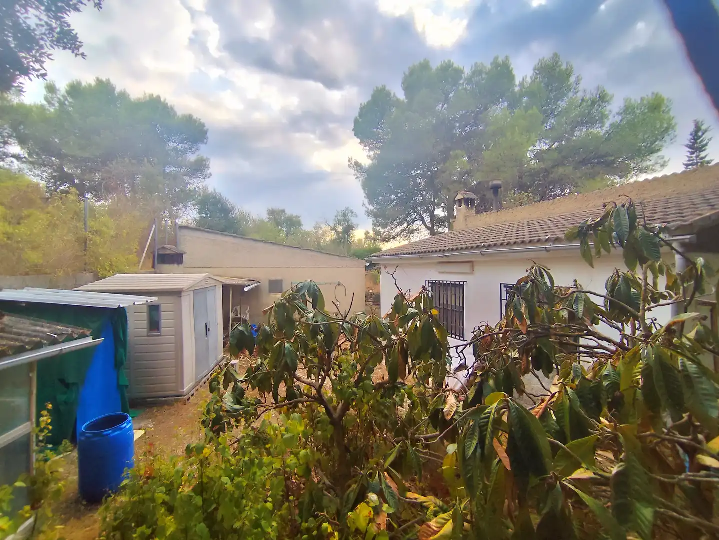 Casa con terrazza in vendita a Carrer Linda 5