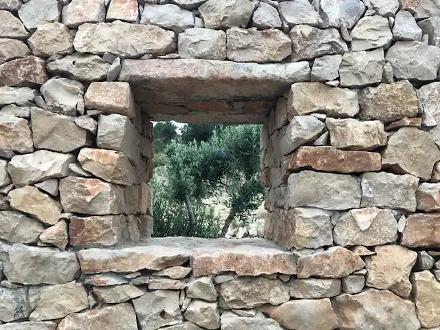 Jardí de Residencial en venda en Cervera del Maestre