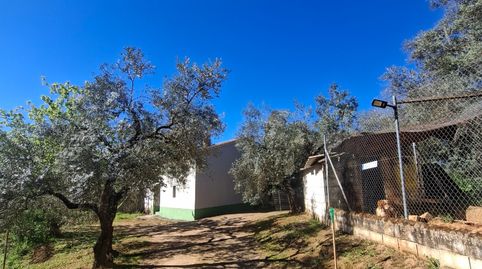 Foto 4 von Grundstücke zum Verkauf in Lugar Cementerio, 1, Las Navas de la Concepción, Sevilla