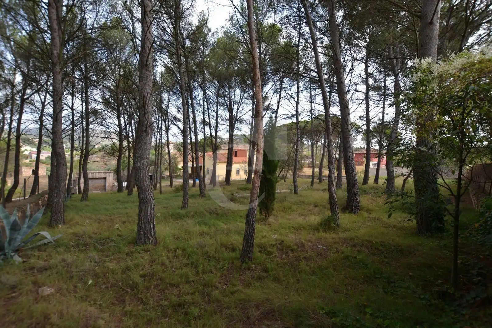Rural land for sale in Venta Quemada, imagen 6