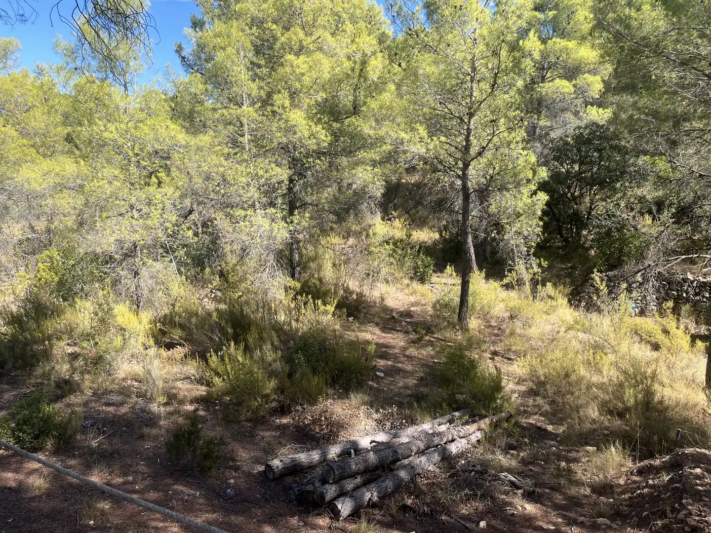 Finca rústica en venta en La Pobla de Cérvoles, Lleida