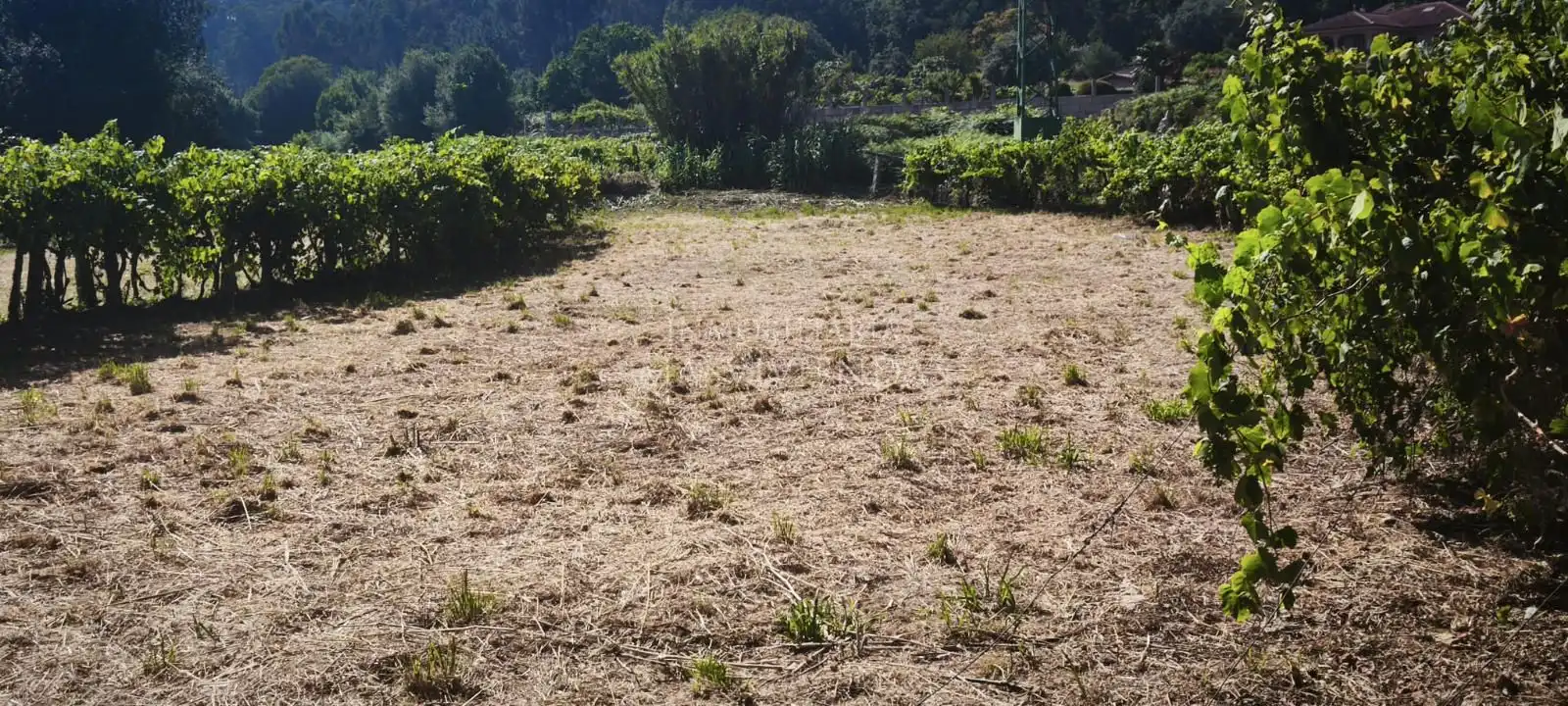Terreni e lotti in vendita a Presa (A)-Parderrubias