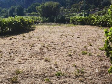 Terreno rustico in vendita a Presa (A)-Parderrubias