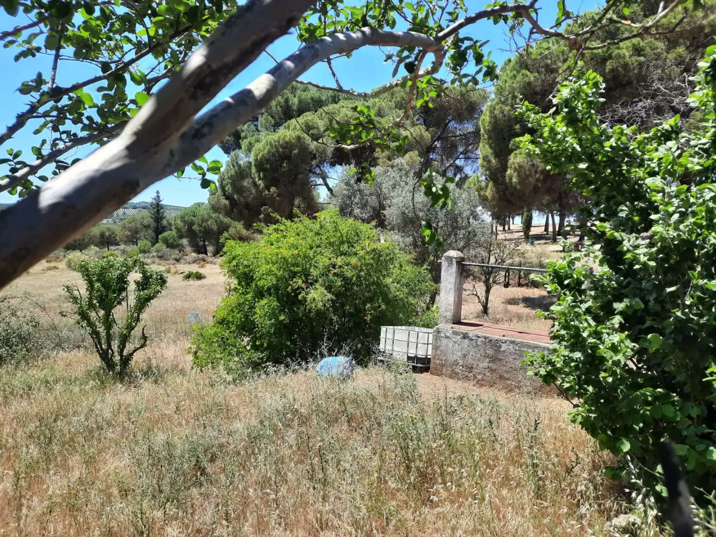 Grundstücke zum Verkauf in El Campillo (Huelva)