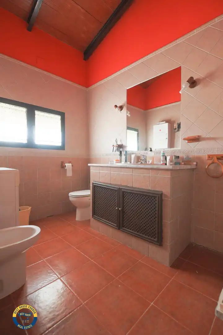 Baño de Casa o chalet en venta en Hornachos con Jardín privado y Terraza
