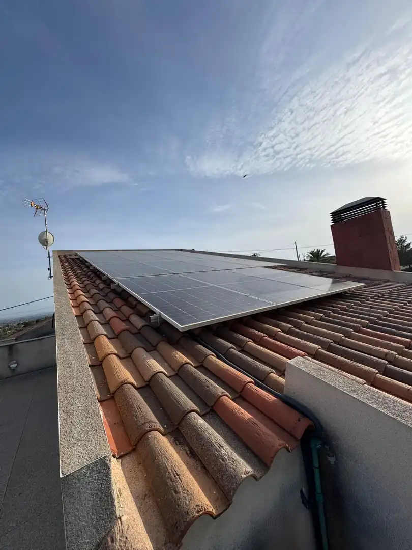 Vista exterior de Casa o xalet en venda en Elche / Elx amb Aire condicionat, Calefacció i Jardí privat