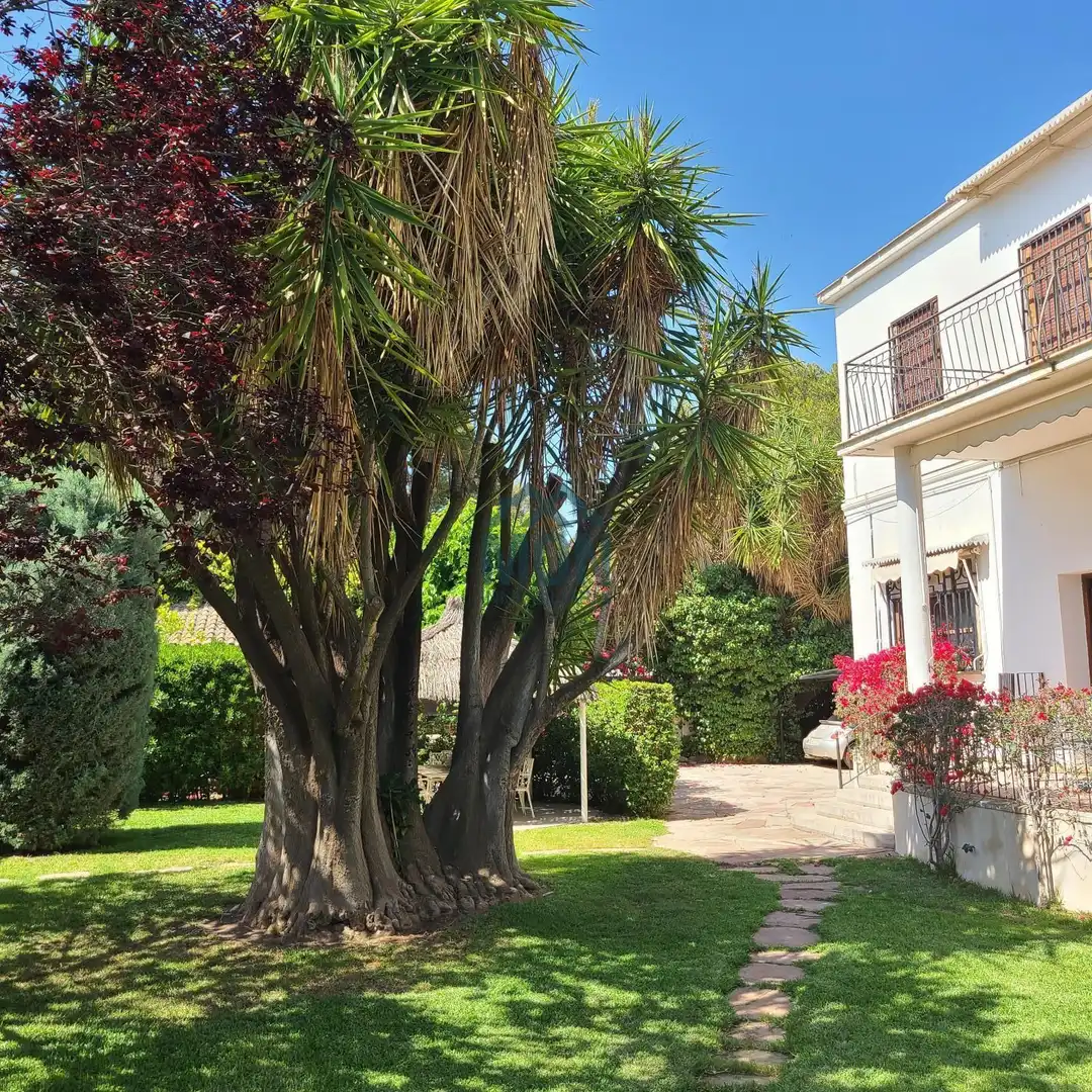 Casa con terrazza in vendita a Rocafort, imagen 4