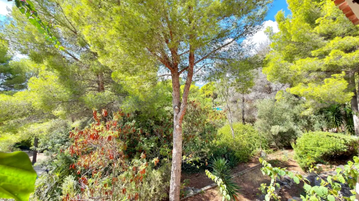 Xalet amb jardí en venda a Montgó - Ermita, imagen 27