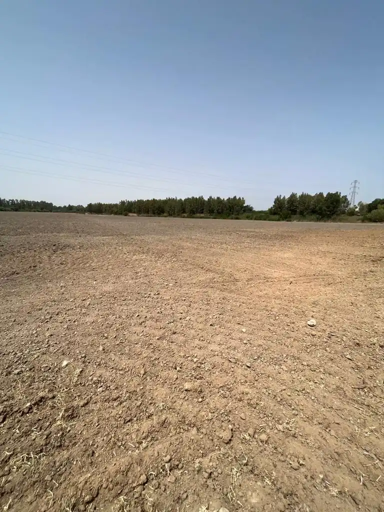 Terrenys i solars en venda a Carretera Cortes 4, imagen 6