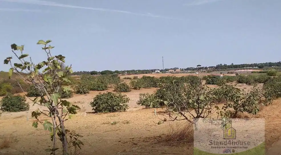Finca rústica en venda a Villarrasa