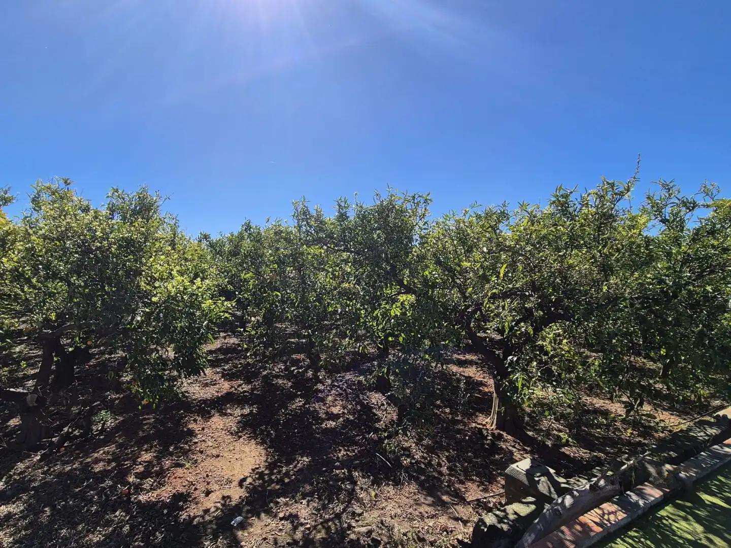 Finca rústica en venta en Vila-real