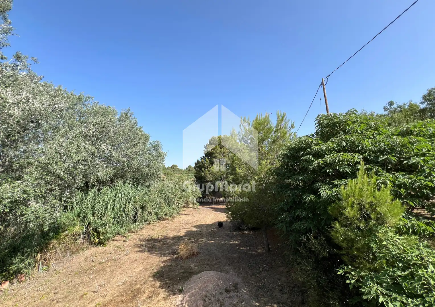 Casa amb piscina en venda a Camí de les Oliveres, imagen 4