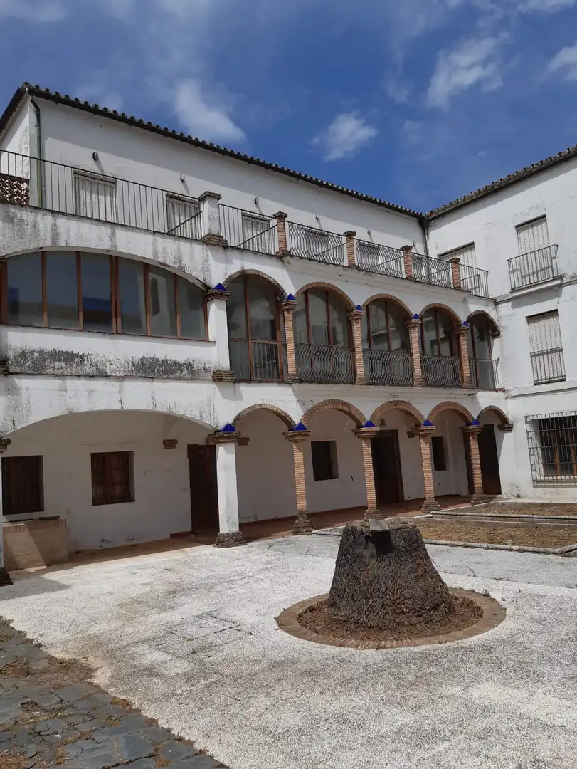 Exterior view of Buildings for sale in Constantina