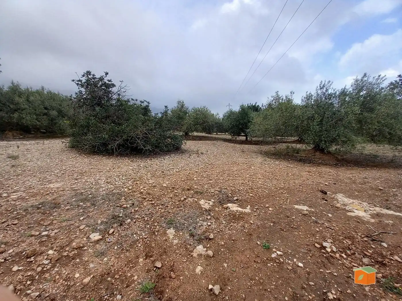 Terreno rustico in vendita a Alcanar, imagen 8