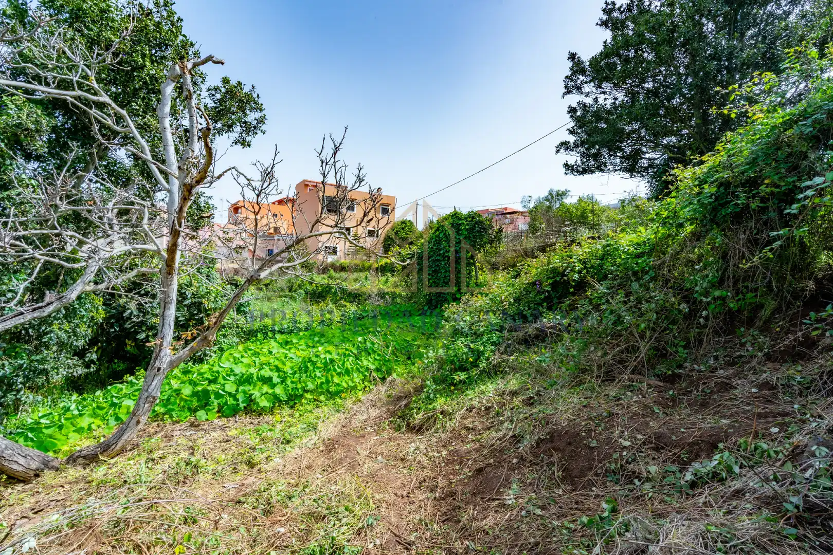 Finca rústica en venda en La Victoria de Acentejo
