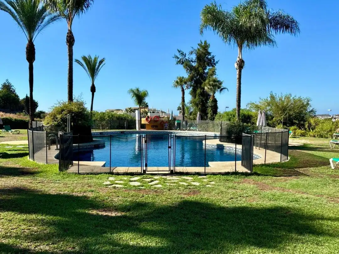 Swimming pool of Flat for rent in Nueva Andalucía