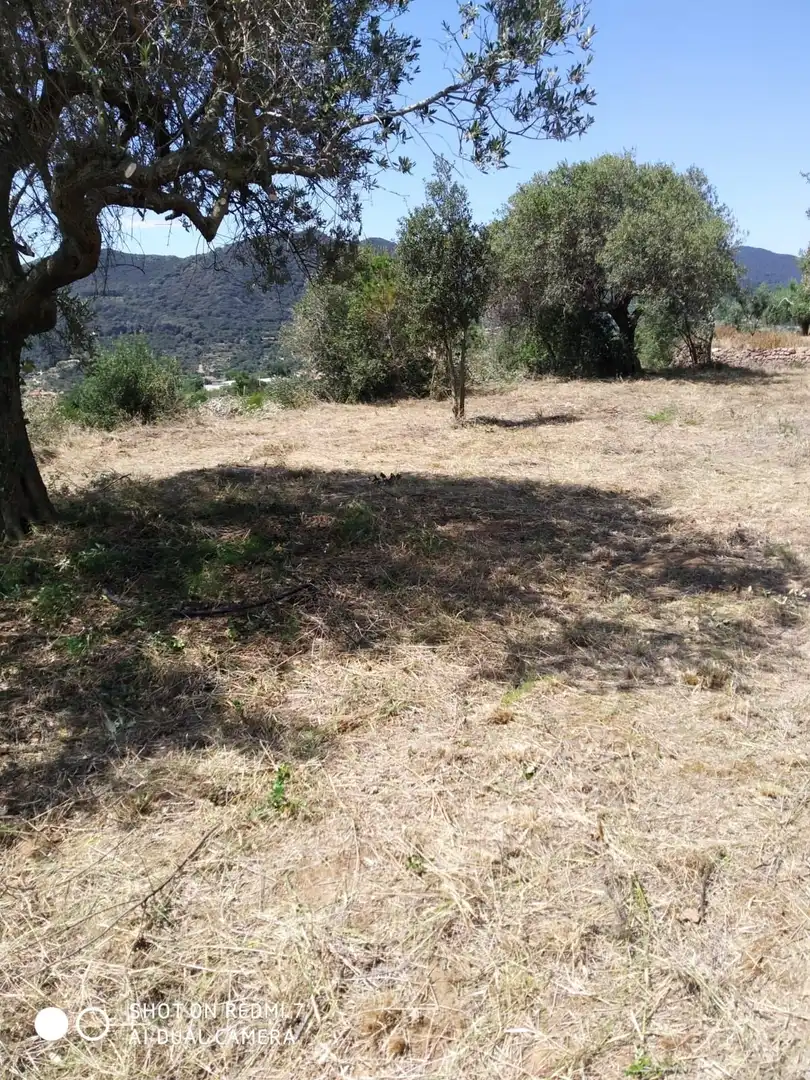 Terreno rústico en venta en Coll d'En Peiró, imagen 7