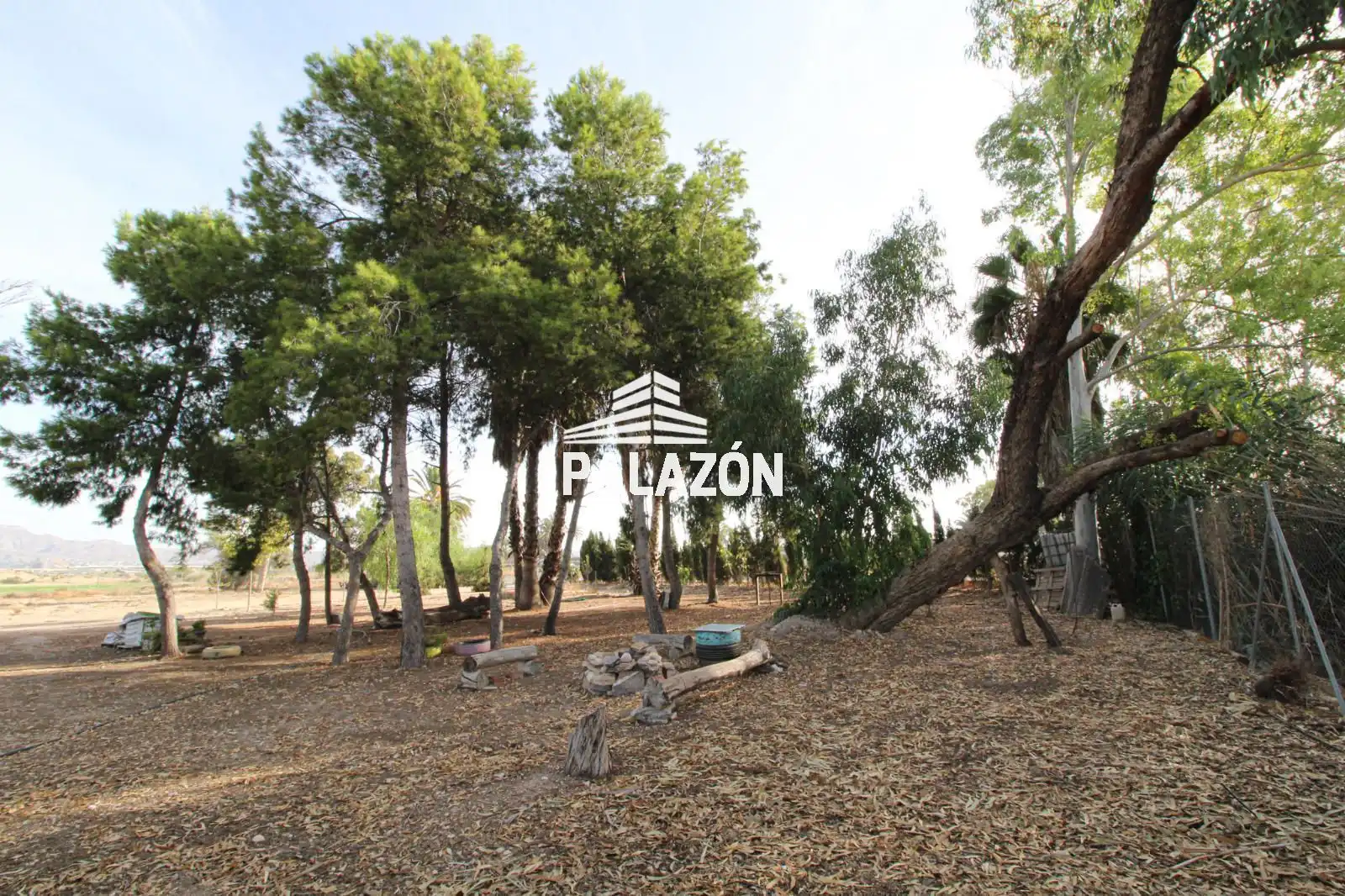 Terreno rustico in vendita a Crevillent, imagen 9