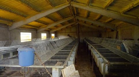 Foto 5 de Terreno industrial en venta en Lr-207, Rodezno, La Rioja