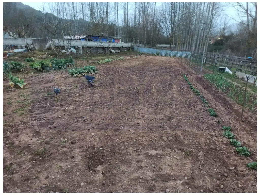 Casa rústica en venda a Bobadilla, imagen 5