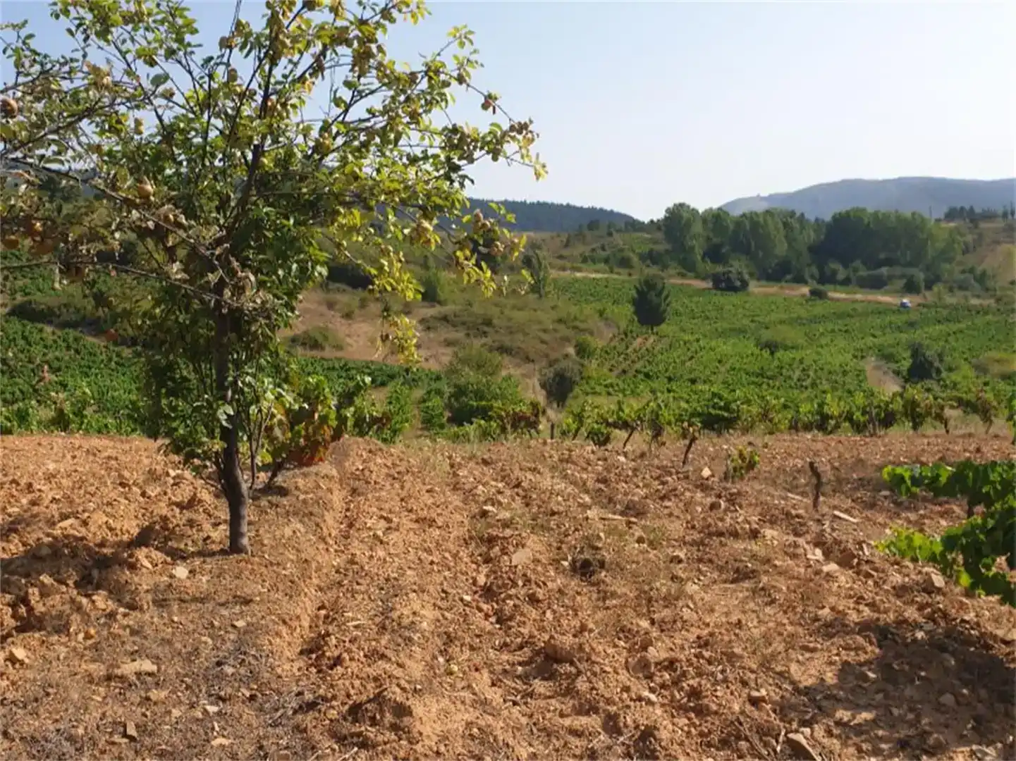 Planta baja en venta en Cacabelos con Amueblado