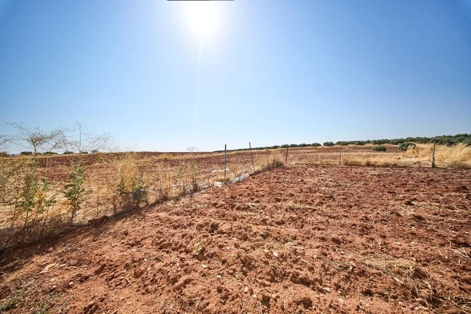 Industrial land for sale in La Carolina