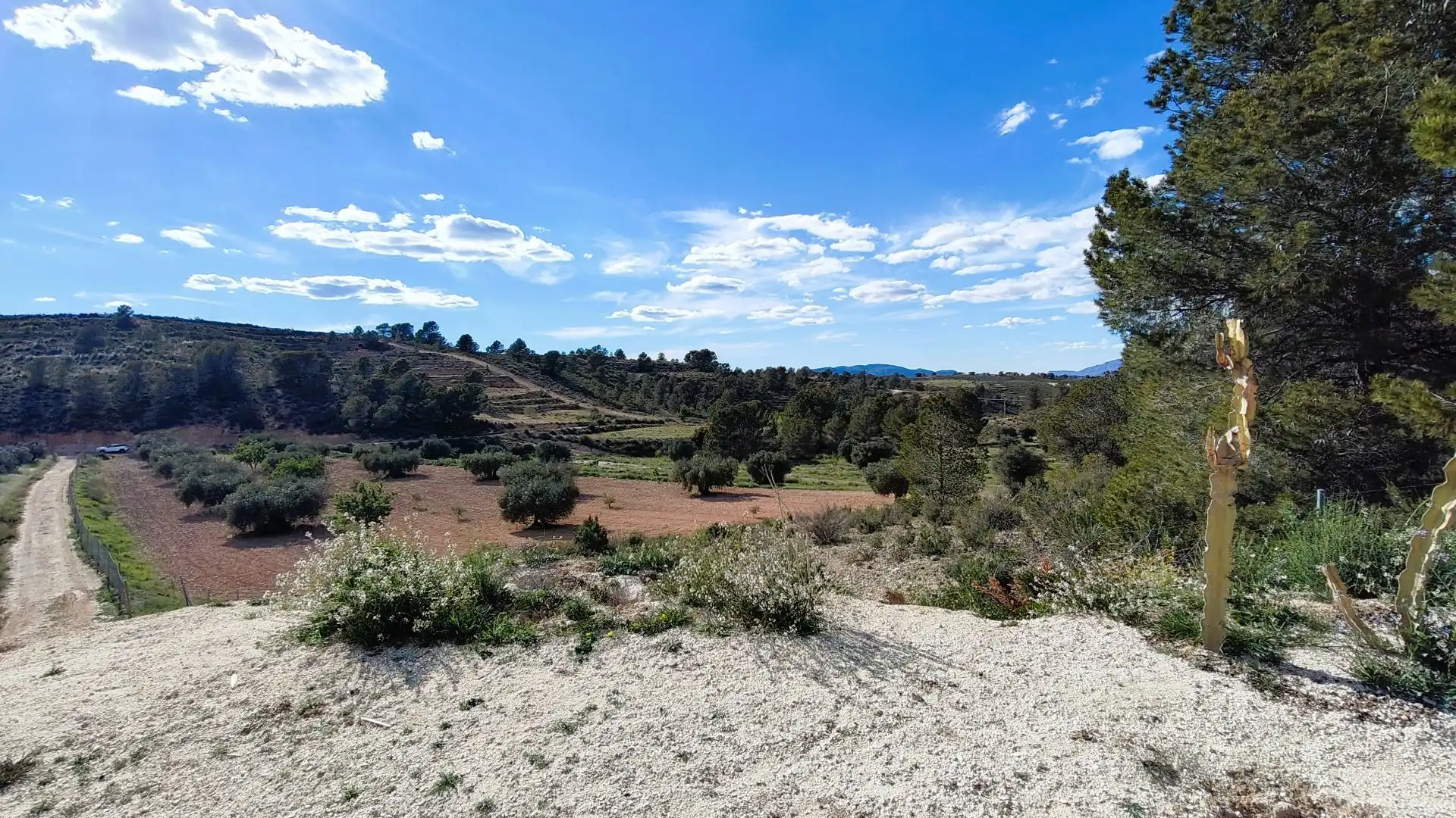 Grundstücke zum Verkauf in Jumilla