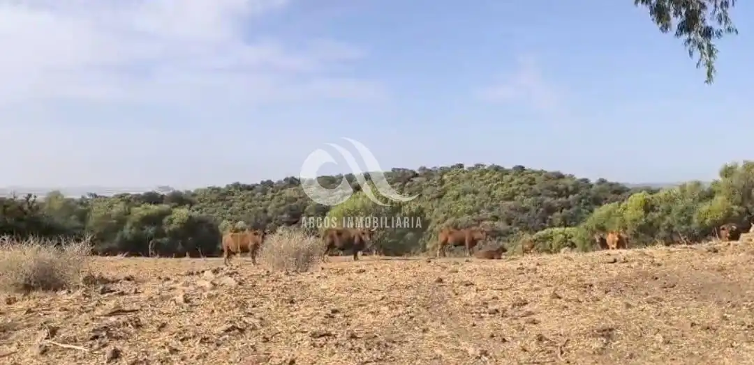 Casa rústica en venta en Periurbano Oeste - Sierra, imagen 15