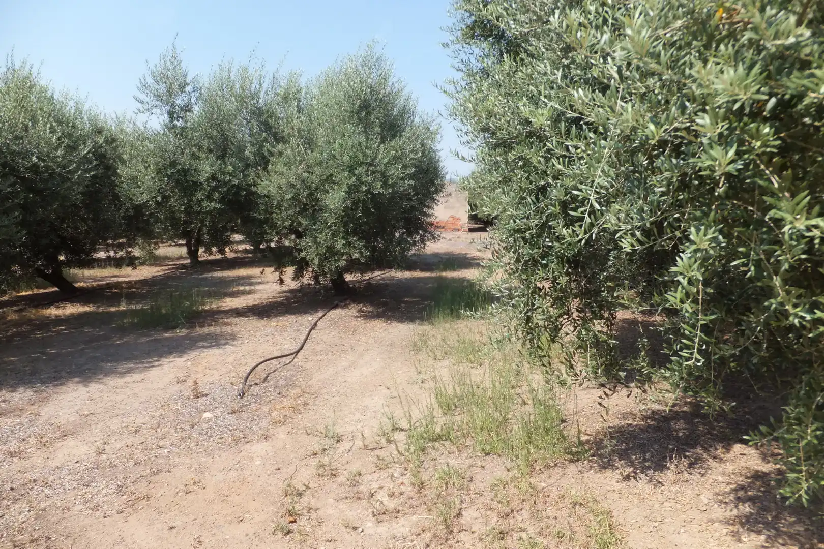 Terreno rústico en venta en Vial Camino, imagen 46