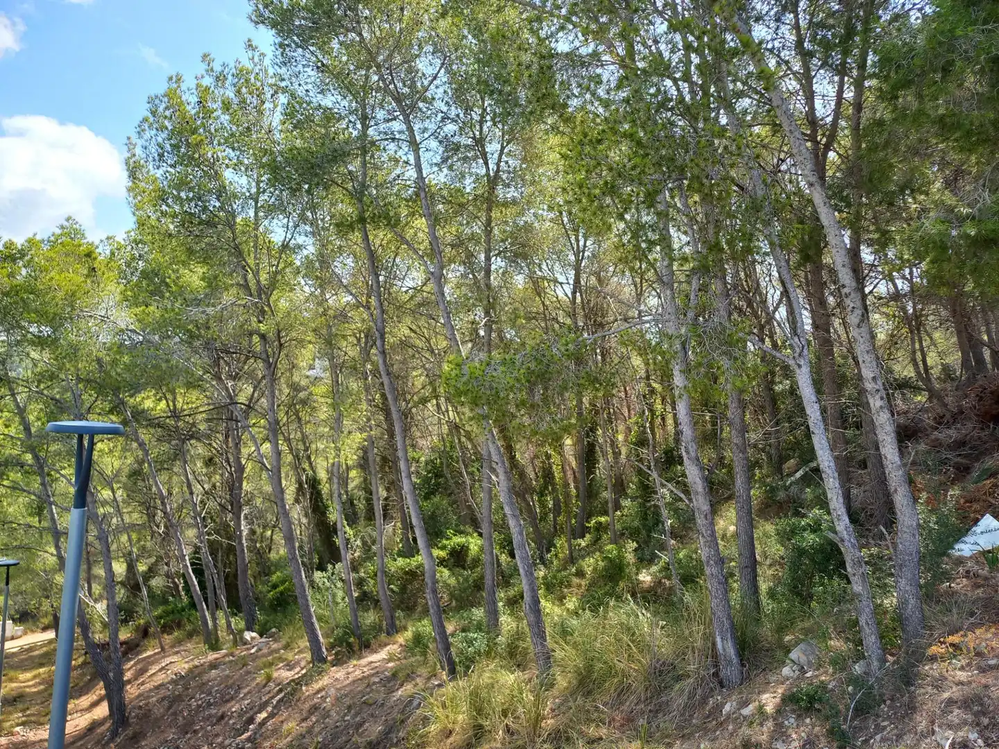 Lands and plots for sale in Carrer MIRANDA, DE LA 38, imagen 4