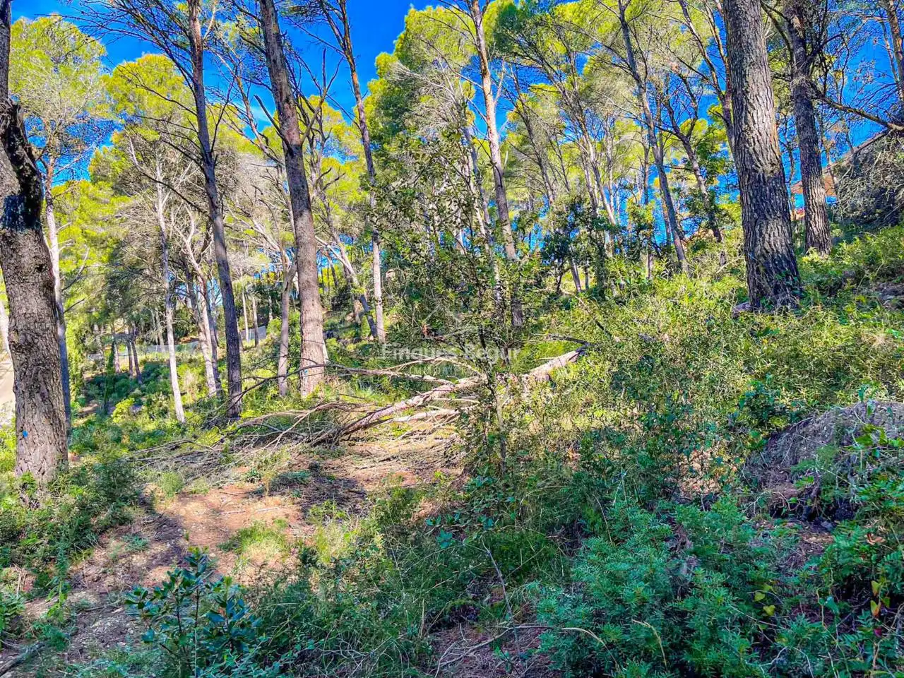Terreny industrial en venda en Begur