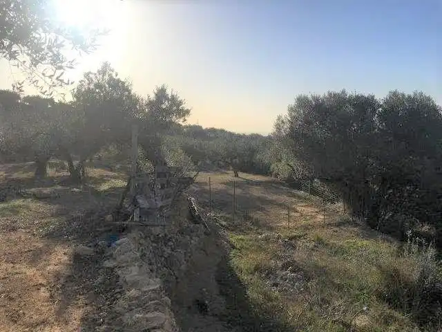 Casa o xalet en venda en Tortosa