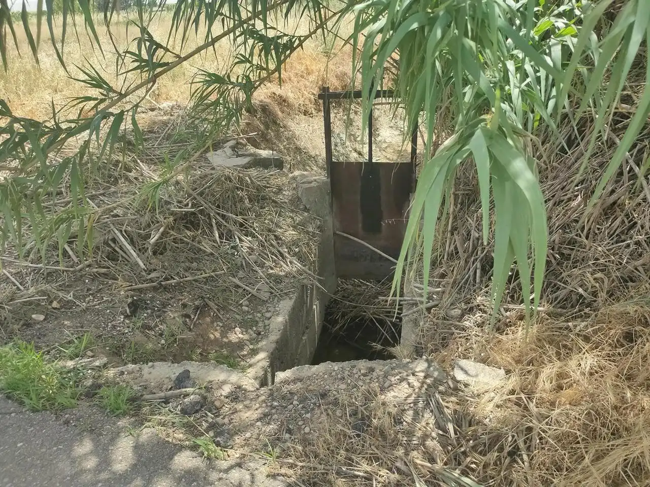 Terreni e lotti in vendita a Alagón, imagen 15
