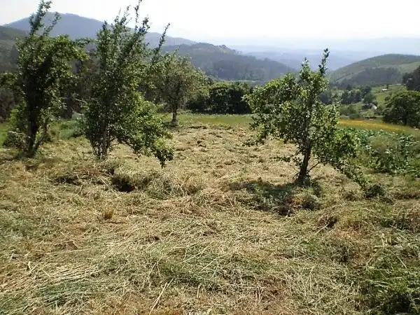 Maison avec jardin à vendre à A Cañiza, imagen 7