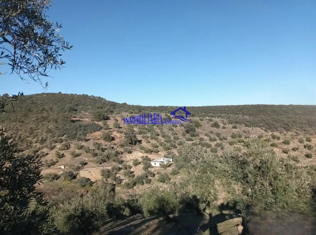Country homes for sale in Adamuz, Córdoba