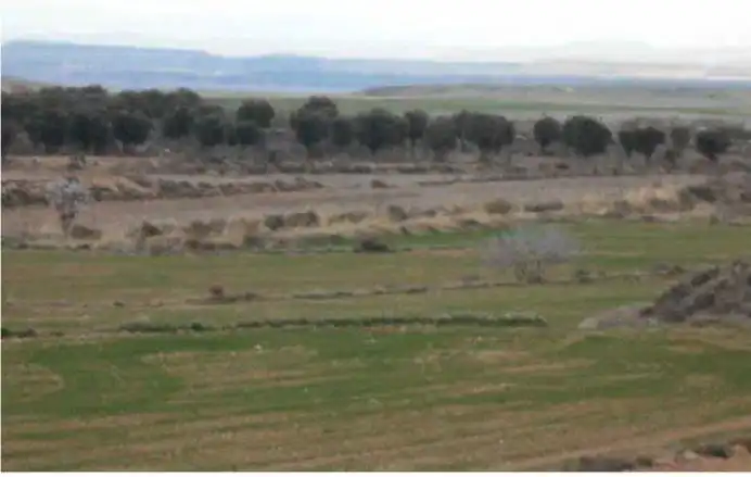 Terreno rustico in vendita a Borja, imagen 2