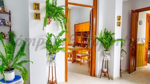 Foto 4 de Casa o xalet en venda a Torrox Pueblo, Torrox