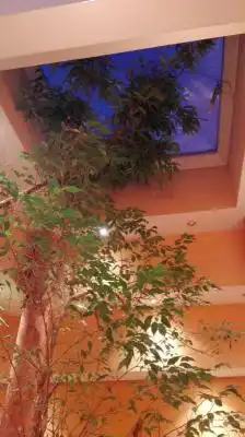 Casa o chalet en venta en Valdefresno con Calefacción, Jardín privado y Trastero