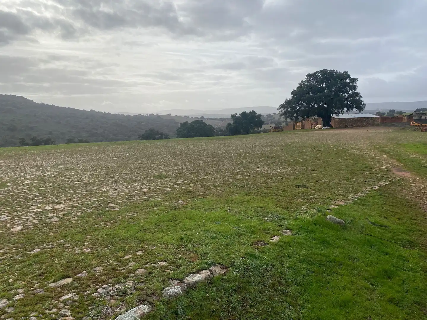 Terreno en venta en Anchuras