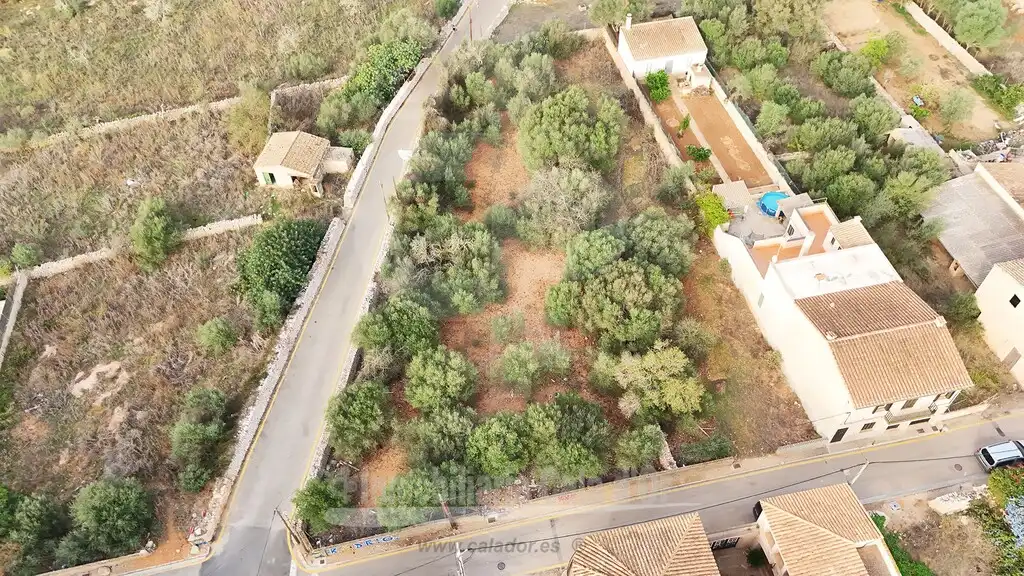 Terreny rústic en venda a Santanyí Poble, imagen 4